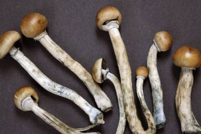 165627186362b8b3f7d3f6f_1656271863_3x2_md