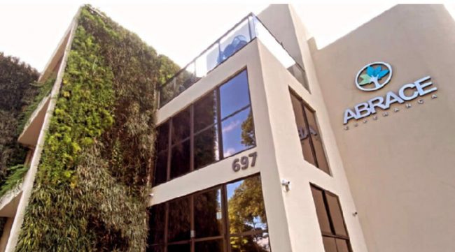 cultivo-de-cannabis-768×427