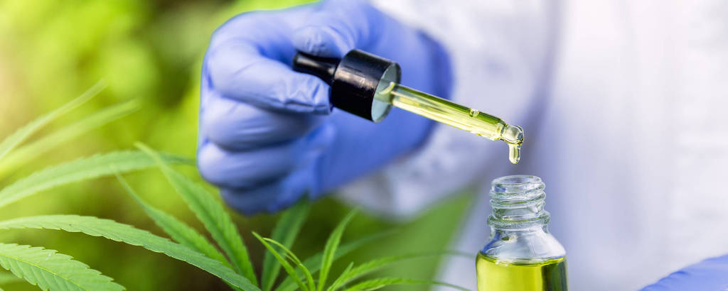 1663018860631fa76ce6cc3_1663018860_5x2_lg