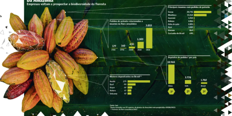 Captura de tela 2023-10-04 120549